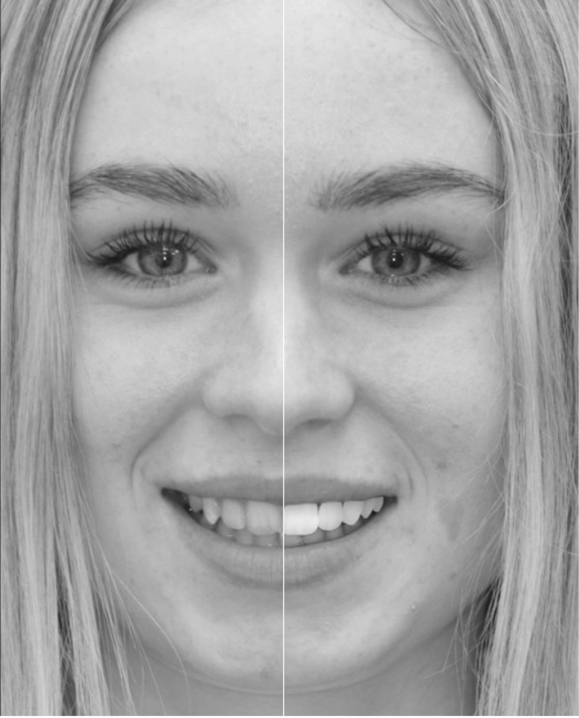 Dental laboratory banner